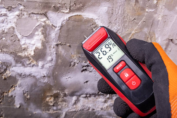 Rio, VA Mold Removal Company