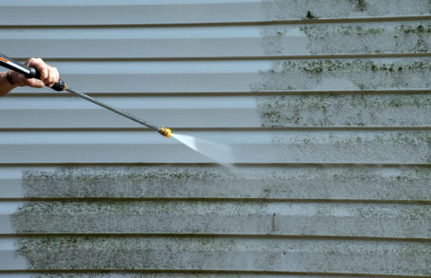 Professional Mold Removal in Rio, VA