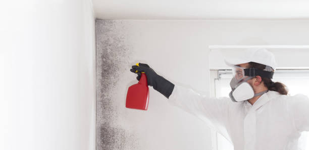 Best Professional Mold Removal  in Rio, VA