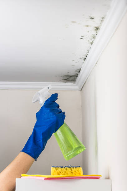 Best Crawl Space Mold Removal  in Rio, VA